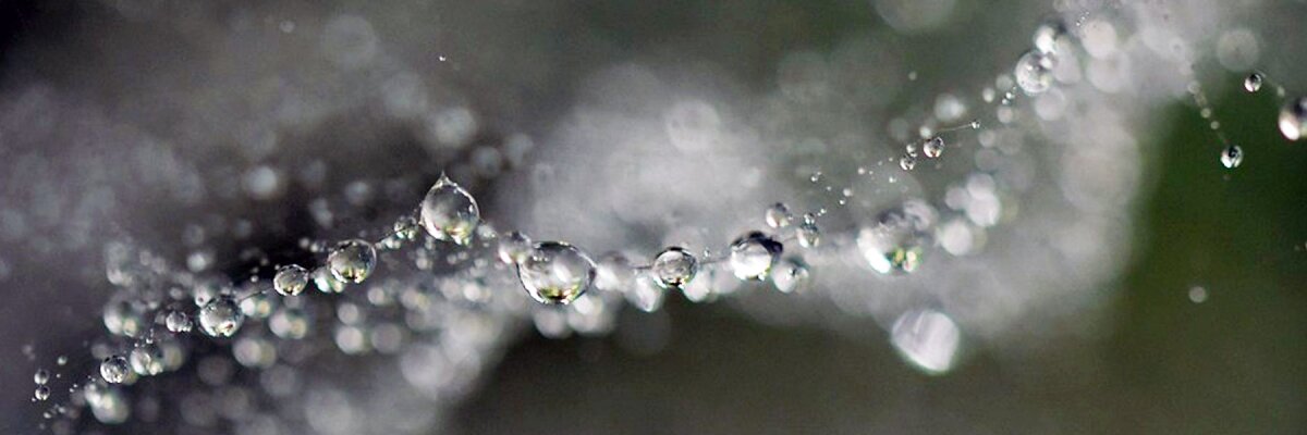 Mobilität: Fahren wir bald mit Wasserstoff? - 